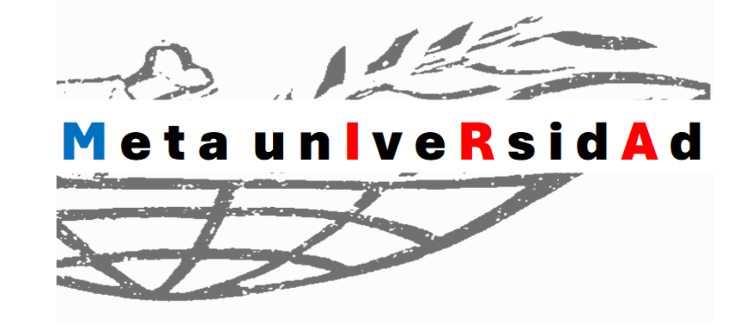 PrincipiosiraMetauniversidad